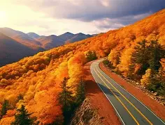 包含新疆广汇内部会议纪要流出——冲刺阶段战术微调，欧联使命明确，细节决定成败的词条